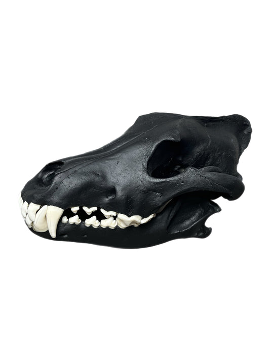 Wolf Scull