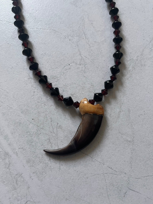 Bear Claw Necklace #19