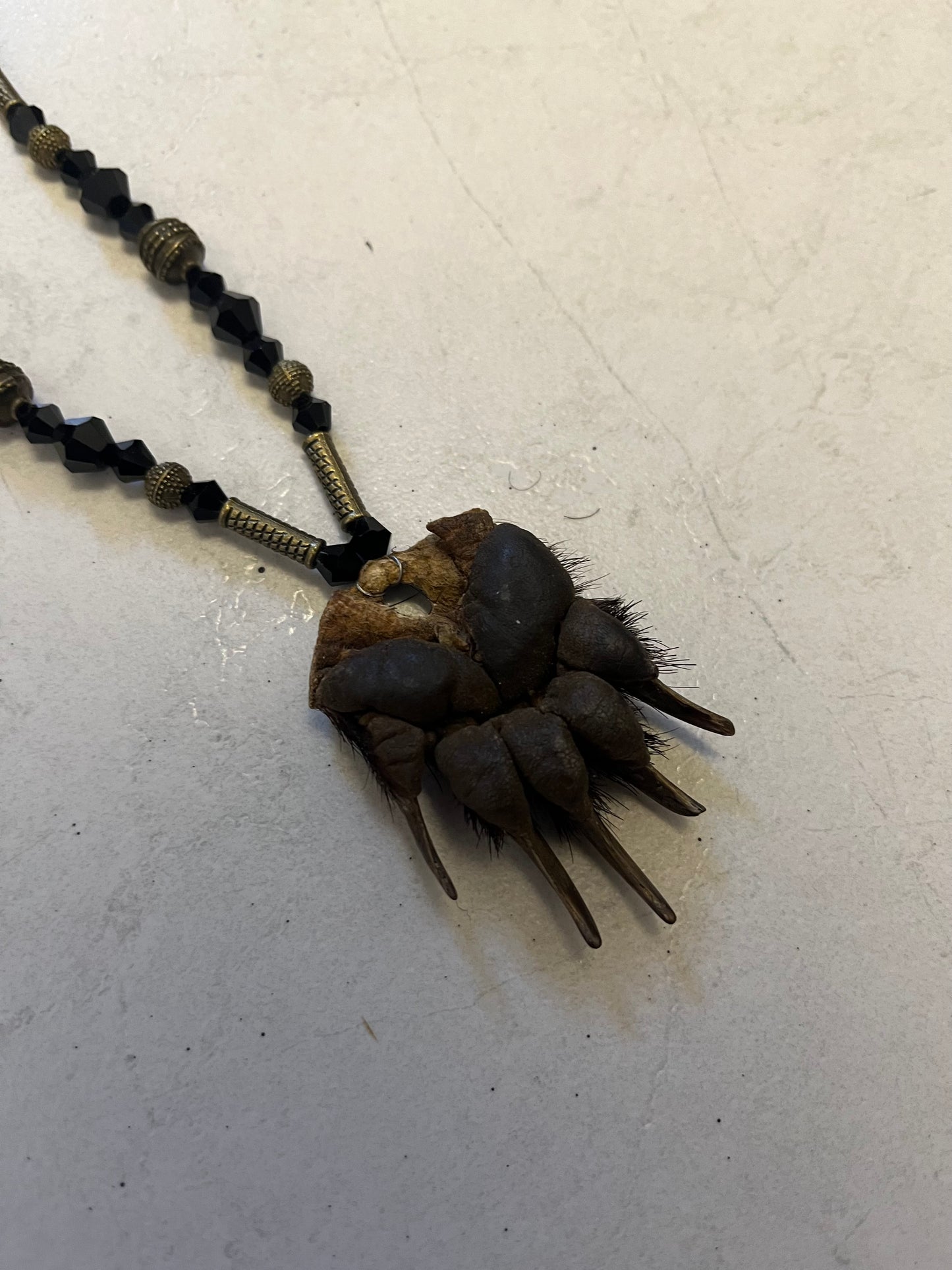 Badger Paw Necklace
